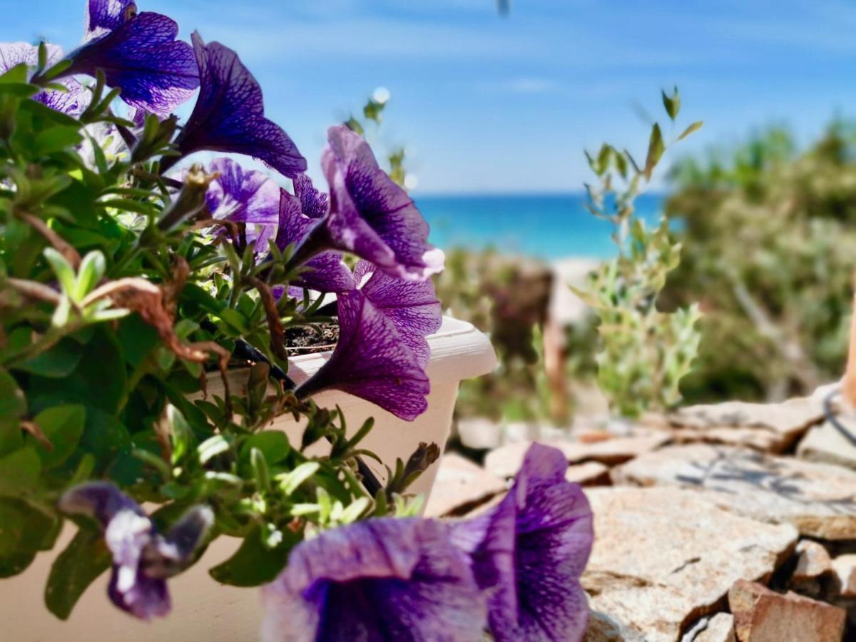 Beachfront House Geremeas Sardegna Lägenhet Exteriör bild
